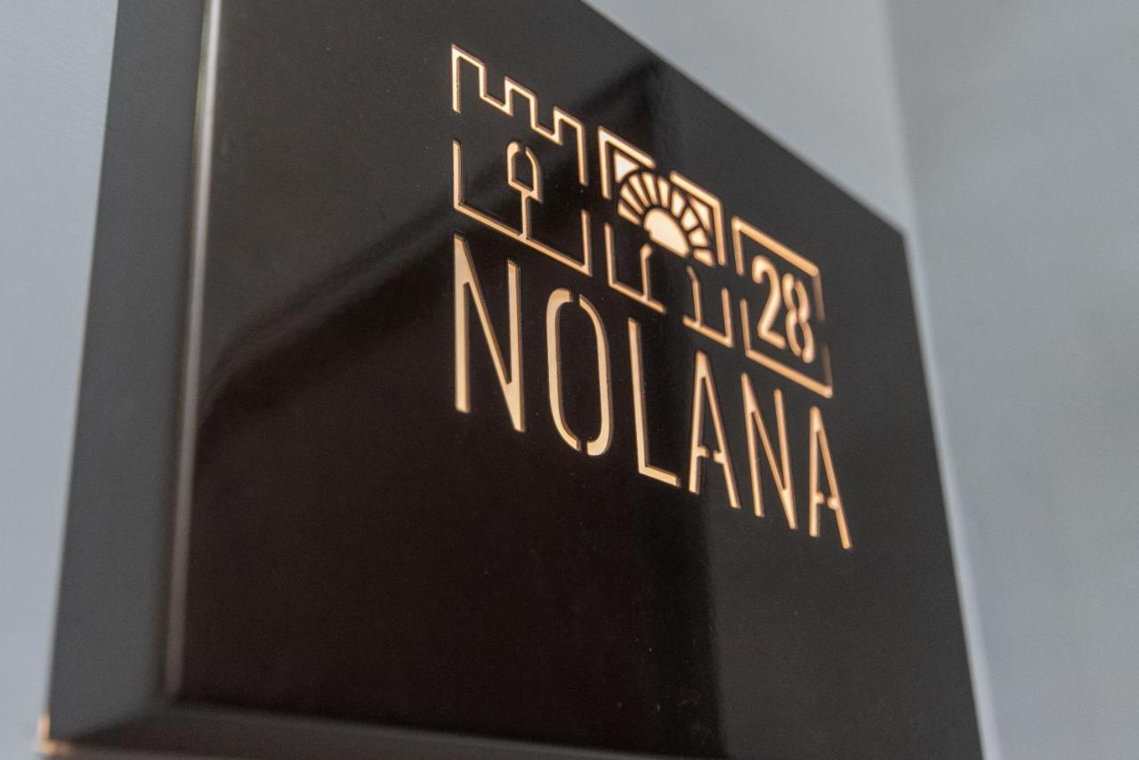 Nolana 28 In *